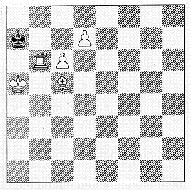 FIDE 2001 Problem